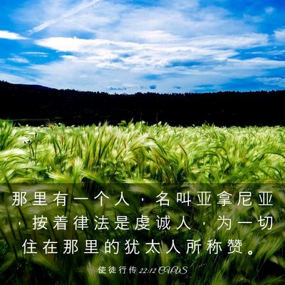 Picture 03 - 使 徒 行 传 22:12 CUVS - 那 里 有 一 个 人 ， 名 叫 亚 拿 尼 - Bible Verse Picture