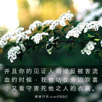 Picture 03 - 使 徒 行 传 22:20 CUVS - 并 且 你 的 见 证 人 司 提 反 被 害 - Bible Verse Picture