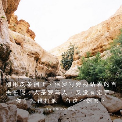 Picture 03 - 使 徒 行 传 22:25 CUVS - 刚 用 皮 条 捆 上 ， 保 罗 对 旁 边 - Bible Verse Picture