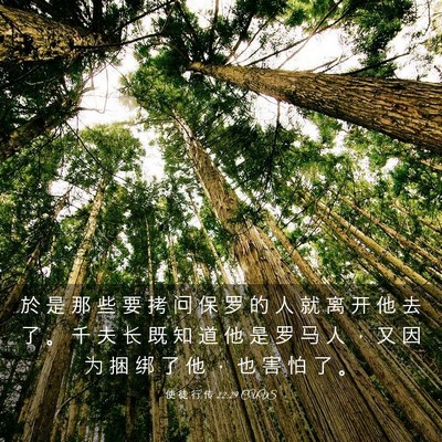 Picture 03 - 使 徒 行 传 22:29 CUVS - 於 是 那 些 要 拷 问 保 罗 的 人 就 - Bible Verse Picture