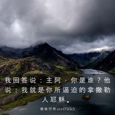Picture 03 - 使 徒 行 传 22:8 CUVS - 我 回 答 说 ： 主 阿 ， 你 是 谁 ？ - Bible Verse Picture