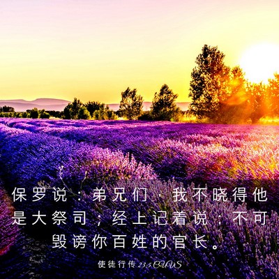 Picture 03 - 使 徒 行 传 23:5 CUVS - 保 罗 说 ： 弟 兄 们 ， 我 不 晓 得 - Bible Verse Picture