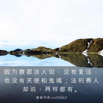 Picture 03 - 使 徒 行 传 23:8 CUVS - 因 为 撒 都 该 人 说 ， 没 有 复 活 - Bible Verse Picture
