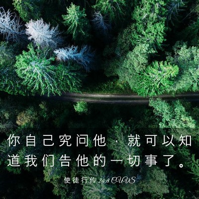Picture 03 - 使 徒 行 传 24:8 CUVS - 你 自 己 究 问 他 ， 就 可 以 知 道 - Bible Verse Picture