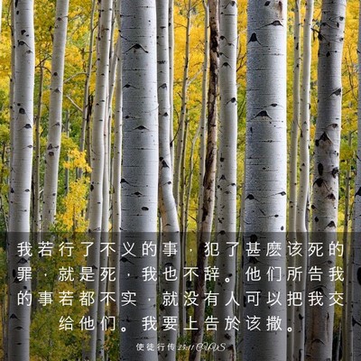 Picture 03 - 使 徒 行 传 25:11 CUVS - 我 若 行 了 不 义 的 事 ， 犯 了 甚 - Bible Verse Picture