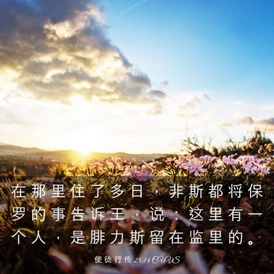 Picture 03 - 使 徒 行 传 25:14 CUVS - 在 那 里 住 了 多 日 ， 非 斯 都 将 - Bible Verse Picture