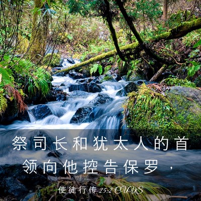 Picture 03 - 使 徒 行 传 25:2 CUVS - 祭 司 长 和 犹 太 人 的 首 领 向 他 - Bible Verse Picture