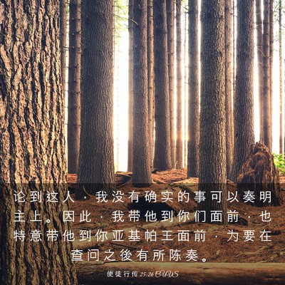 Picture 03 - 使 徒 行 传 25:26 CUVS - 论 到 这 人 ， 我 没 有 确 实 的 事 - Bible Verse Picture