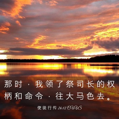 Picture 03 - 使 徒 行 传 26:12 CUVS - 那 时 ， 我 领 了 祭 司 长 的 权 柄 - Bible Verse Picture