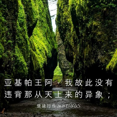 Picture 03 - 使 徒 行 传 26:19 CUVS - 亚 基 帕 王 阿 ， 我 故 此 没 有 违 - Bible Verse Picture