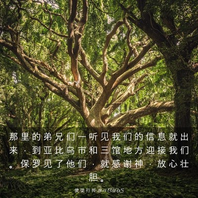 Picture 03 - 使 徒 行 传 28:15 CUVS - 那 里 的 弟 兄 们 一 听 见 我 们 的 - Bible Verse Picture