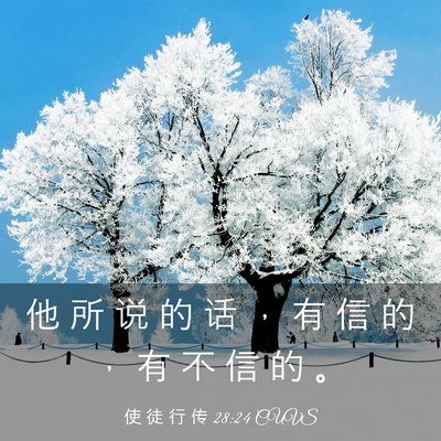 Picture 03 - 使 徒 行 传 28:24 CUVS - 他 所 说 的 话 ， 有 信 的 ， 有 不 - Bible Verse Picture
