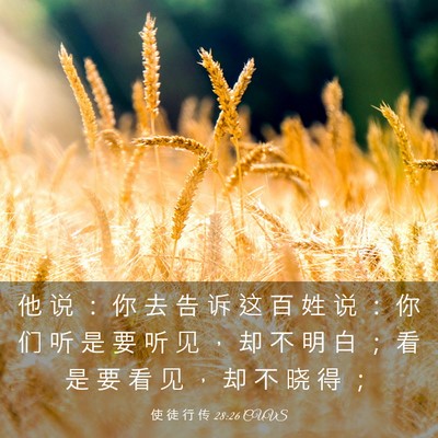 Picture 03 - 使 徒 行 传 28:26 CUVS - 他 说 ： 你 去 告 诉 这 百 姓 说 ： - Bible Verse Picture