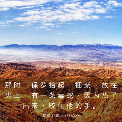 Picture 03 - 使 徒 行 传 28:3 CUVS - 那 时 ， 保 罗 拾 起 一 捆 柴 ， 放 - Bible Verse Picture
