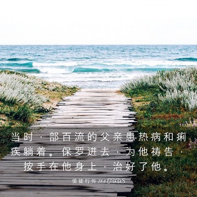 Picture 03 - 使 徒 行 传 28:8 CUVS - 当 时 ， 部 百 流 的 父 亲 患 热 病 - Bible Verse Picture