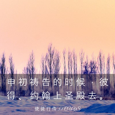 Picture 03 - 使 徒 行 传 3:1 CUVS - 申 初 祷 告 的 时 候 ， 彼 得 、 约 - Bible Verse Picture