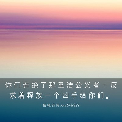 Picture 03 - 使 徒 行 传 3:14 CUVS - 你 们 弃 绝 了 那 圣 洁 公 义 者 ， - Bible Verse Picture