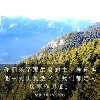 Picture 03 - 使 徒 行 传 3:15 CUVS - 你 们 杀 了 那 生 命 的 主 ， 神 却 - Bible Verse Picture
