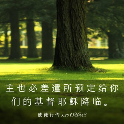 Picture 03 - 使 徒 行 传 3:20 CUVS - 主 也 必 差 遣 所 预 定 给 你 们 的 - Bible Verse Picture