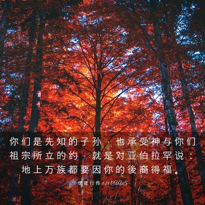 Picture 03 - 使 徒 行 传 3:25 CUVS - 你 们 是 先 知 的 子 孙 ， 也 承 受 - Bible Verse Picture