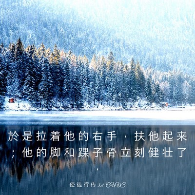 Picture 03 - 使 徒 行 传 3:7 CUVS - 於 是 拉 着 他 的 右 手 ， 扶 他 起 - Bible Verse Picture