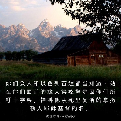 Picture 03 - 使 徒 行 传 4:10 CUVS - 你 们 众 人 和 以 色 列 百 姓 都 当 - Bible Verse Picture