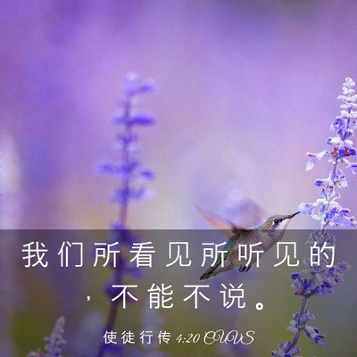 Picture 03 - 使 徒 行 传 4:20 CUVS - 我 们 所 看 见 所 听 见 的 ， 不 能 - Bible Verse Picture