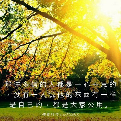 Picture 03 - 使 徒 行 传 4:32 CUVS - 那 许 多 信 的 人 都 是 一 心 一 意 - Bible Verse Picture