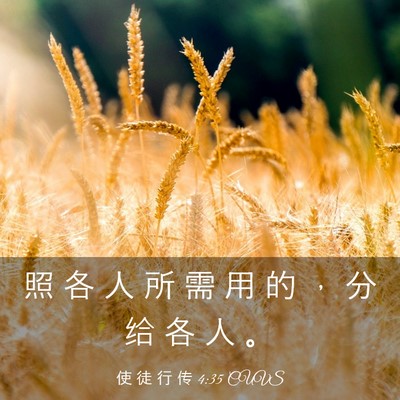 Picture 03 - 使 徒 行 传 4:35 CUVS - 照 各 人 所 需 用 的 ， 分 给 各 人 - Bible Verse Picture