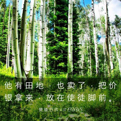 Picture 03 - 使 徒 行 传 4:37 CUVS - 他 有 田 地 ， 也 卖 了 ， 把 价 银 - Bible Verse Picture