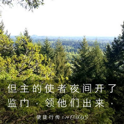 Picture 03 - 使 徒 行 传 5:19 CUVS - 但 主 的 使 者 夜 间 开 了 监 门 ， - Bible Verse Picture