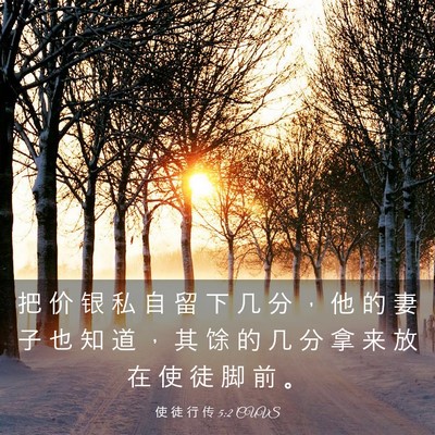 Picture 03 - 使 徒 行 传 5:2 CUVS - 把 价 银 私 自 留 下 几 分 ， 他 的 - Bible Verse Picture