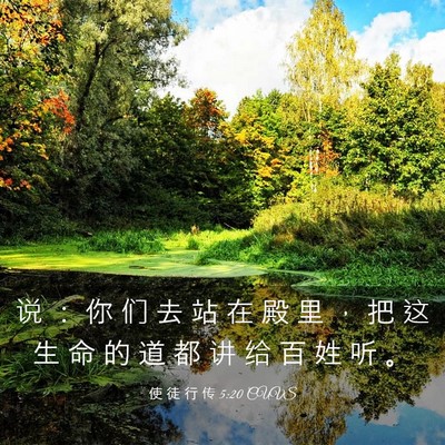 Picture 03 - 使 徒 行 传 5:20 CUVS - 说 ： 你 们 去 站 在 殿 里 ， 把 这 - Bible Verse Picture