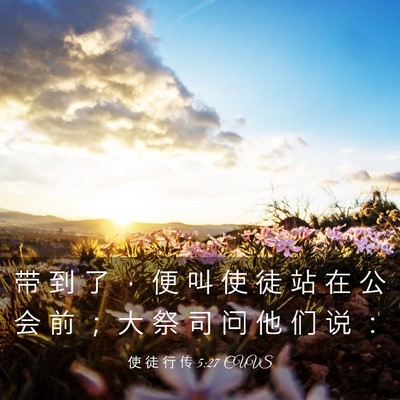 Picture 03 - 使 徒 行 传 5:27 CUVS - 带 到 了 ， 便 叫 使 徒 站 在 公 会 - Bible Verse Picture
