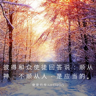 Picture 03 - 使 徒 行 传 5:29 CUVS - 彼 得 和 众 使 徒 回 答 说 ： 顺 从 - Bible Verse Picture