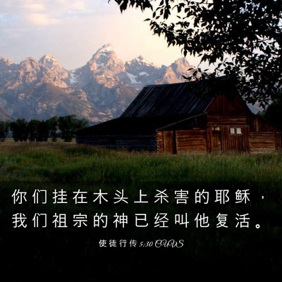 Picture 03 - 使 徒 行 传 5:30 CUVS - 你 们 挂 在 木 头 上 杀 害 的 耶 稣 - Bible Verse Picture
