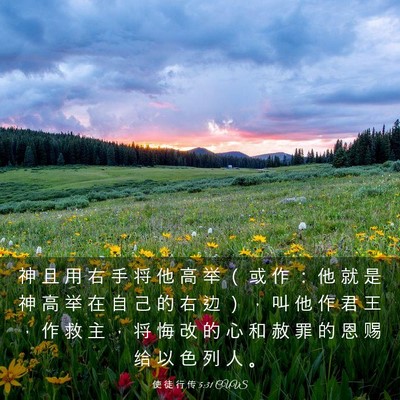 Picture 03 - 使 徒 行 传 5:31 CUVS - 神 且 用 右 手 将 他 高 举 （ 或 作 - Bible Verse Picture