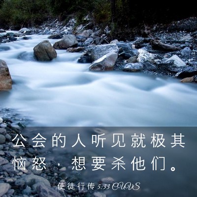 Picture 03 - 使 徒 行 传 5:33 CUVS - 公 会 的 人 听 见 就 极 其 恼 怒 ， - Bible Verse Picture