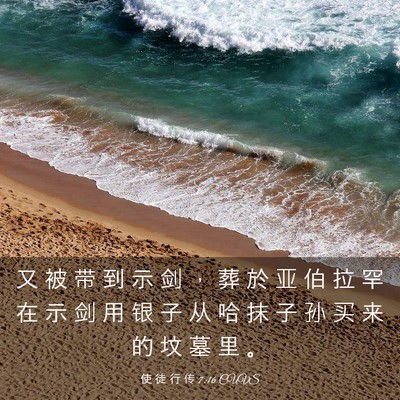 Picture 03 - 使 徒 行 传 7:16 CUVS - 又 被 带 到 示 剑 ， 葬 於 亚 伯 拉 - Bible Verse Picture