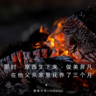 Picture 03 - 使 徒 行 传 7:20 CUVS - 那 时 ， 摩 西 生 下 来 ， 俊 美 非 - Bible Verse Picture
