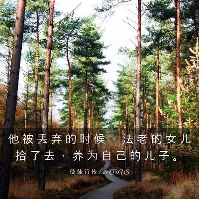 Picture 03 - 使 徒 行 传 7:21 CUVS - 他 被 丢 弃 的 时 候 ， 法 老 的 女 - Bible Verse Picture