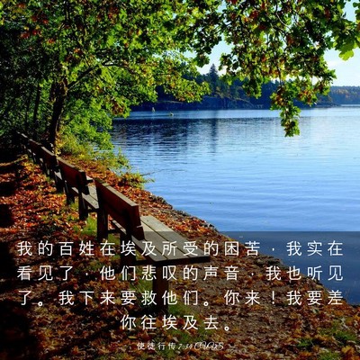 Picture 03 - 使 徒 行 传 7:34 CUVS - 我 的 百 姓 在 埃 及 所 受 的 困 苦 - Bible Verse Picture