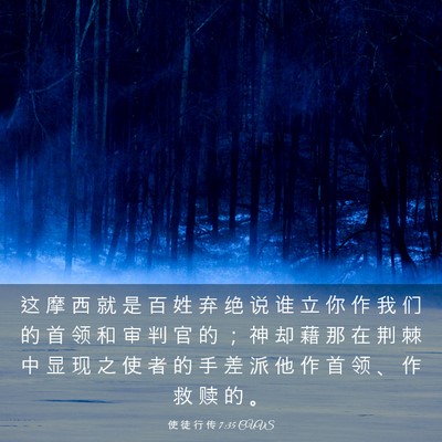 Picture 03 - 使 徒 行 传 7:35 CUVS - 这 摩 西 就 是 百 姓 弃 绝 说 谁 立 - Bible Verse Picture