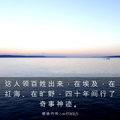 Picture 03 - 使 徒 行 传 7:36 CUVS - 这 人 领 百 姓 出 来 ， 在 埃 及 ， - Bible Verse Picture
