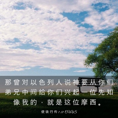 Picture 03 - 使 徒 行 传 7:37 CUVS - 那 曾 对 以 色 列 人 说 神 要 从 你 - Bible Verse Picture