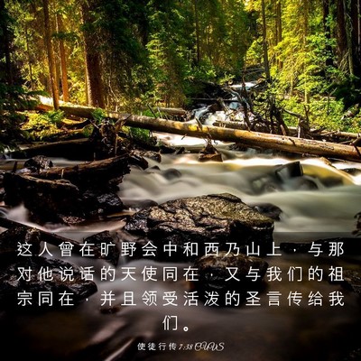 Picture 03 - 使 徒 行 传 7:38 CUVS - 这 人 曾 在 旷 野 会 中 和 西 乃 山 - Bible Verse Picture
