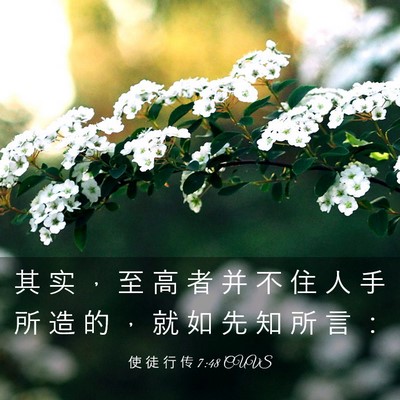 Picture 03 - 使 徒 行 传 7:48 CUVS - 其 实 ， 至 高 者 并 不 住 人 手 所 - Bible Verse Picture
