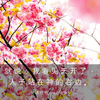 Picture 03 - 使 徒 行 传 7:56 CUVS - 就 说 ： 我 看 见 天 开 了 ， 人 子 - Bible Verse Picture