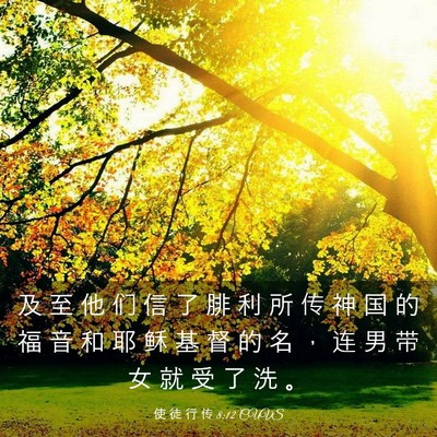 Picture 03 - 使 徒 行 传 8:12 CUVS - 及 至 他 们 信 了 腓 利 所 传 神 国 - Bible Verse Picture