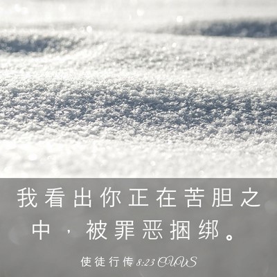 Picture 03 - 使 徒 行 传 8:23 CUVS - 我 看 出 你 正 在 苦 胆 之 中 ， 被 - Bible Verse Picture